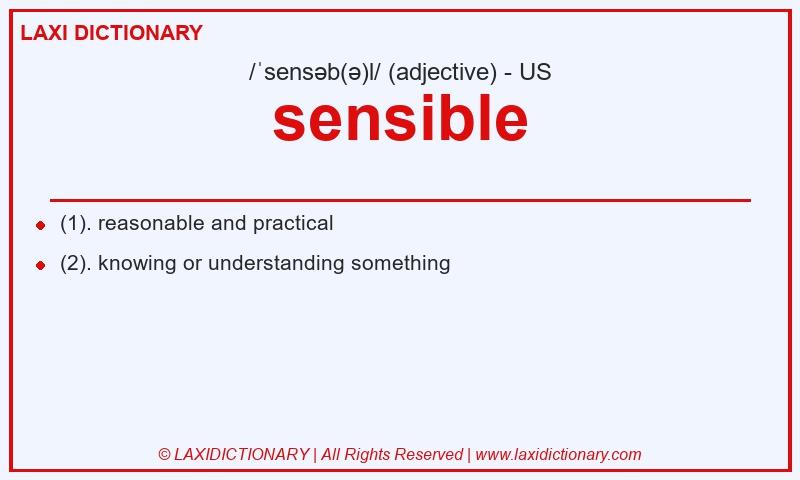 Definition sensible in American English