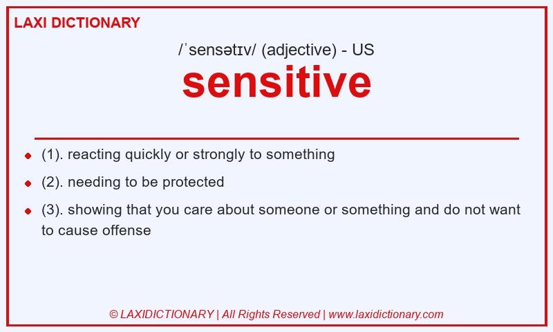 Definition sensitive in American English