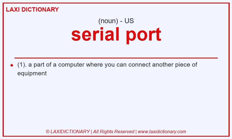 Definition serial port in American English