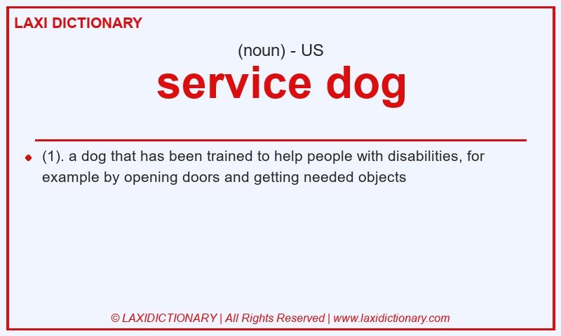 Definition service dog in American English