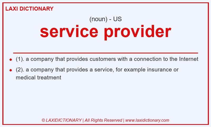 Definition service provider in American English