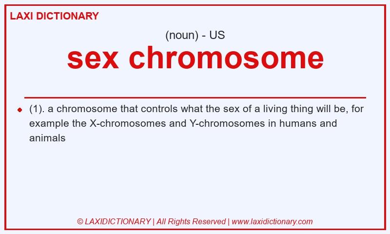 Definition sex chromosome in American English