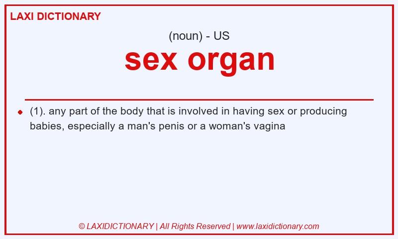 Definition sex organ in American English