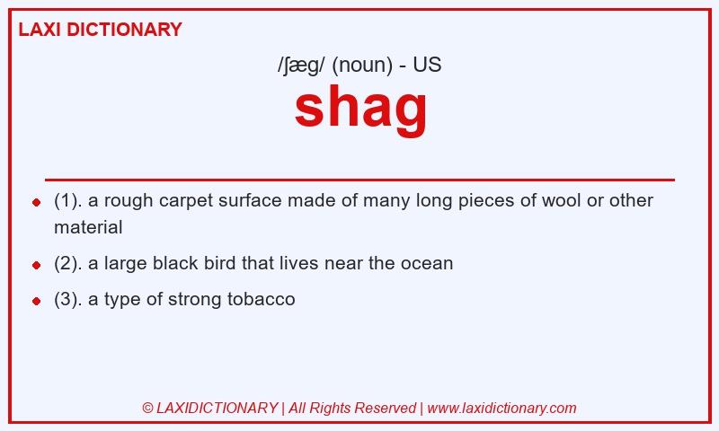 Definition shag in American English