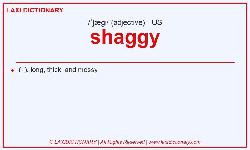 Definition shaggy in American English