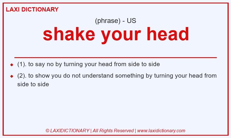 Definition shake your head in American English