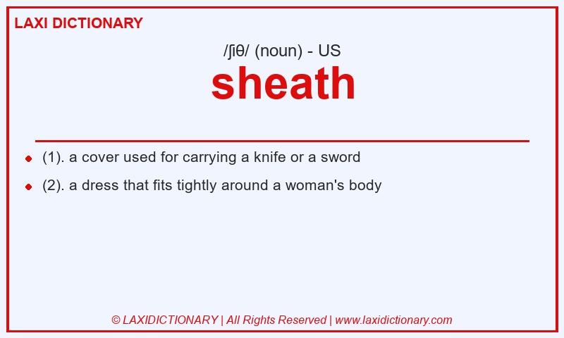 Definition sheath in American English
