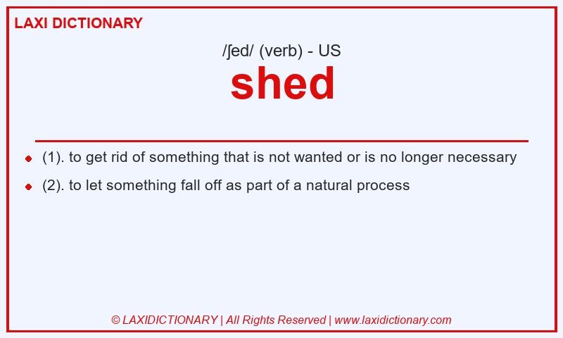 Definition shed in American English