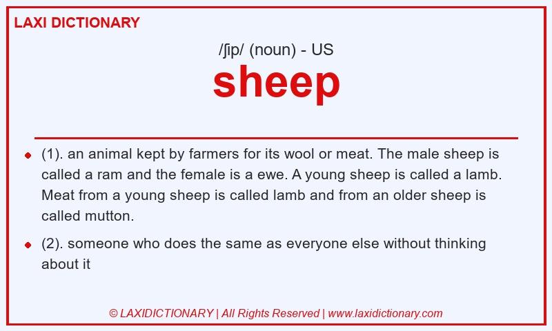 Definition sheep in American English