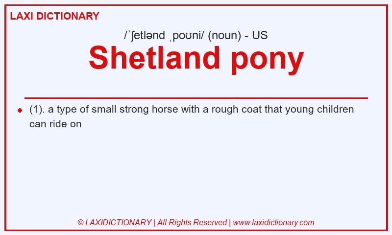 Definition Shetland pony in American English