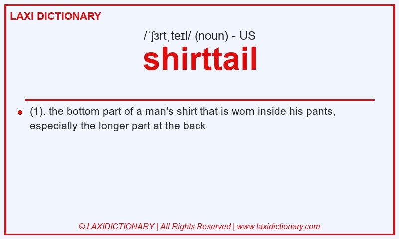 Definition shirttail in American English
