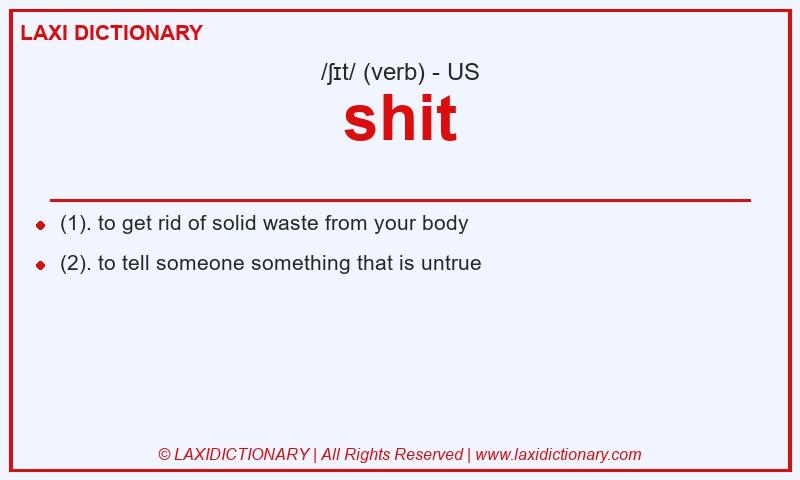 Definition shit in American English