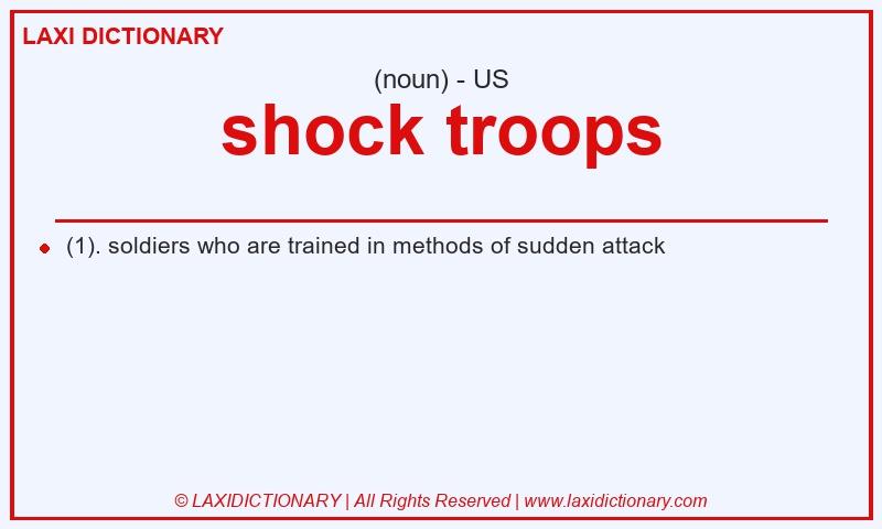 Definition shock troops in American English