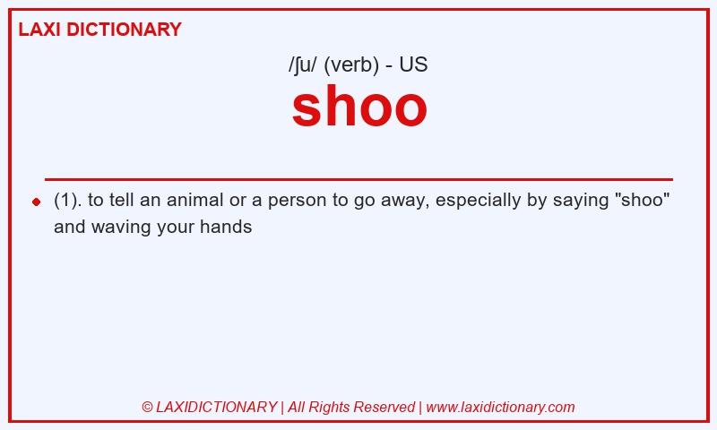 Definition shoo in American English