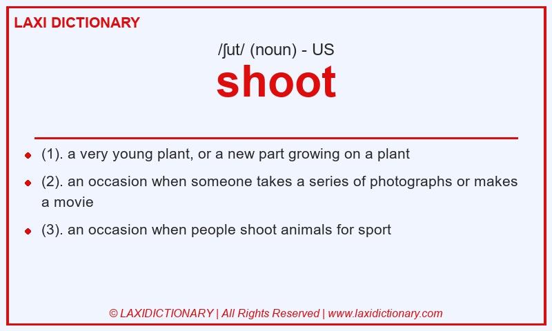 Definition shoot in American English