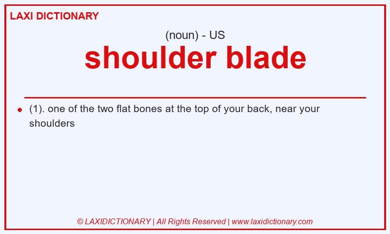Definition shoulder blade in American English