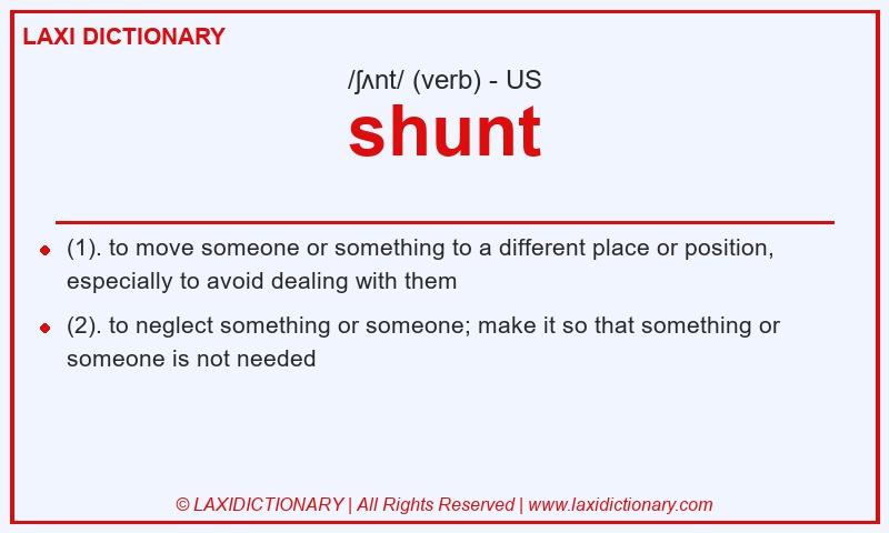 Definition shunt in American English