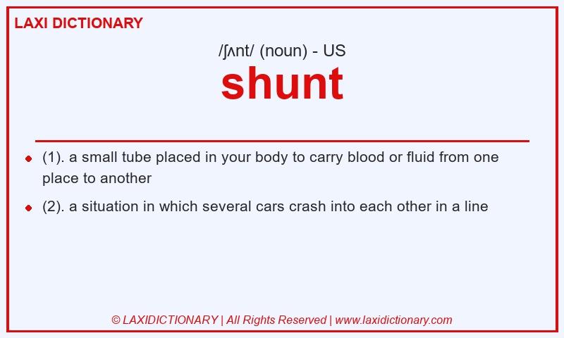 Definition shunt in American English