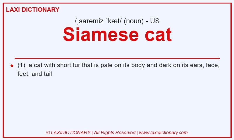 Definition Siamese cat in American English