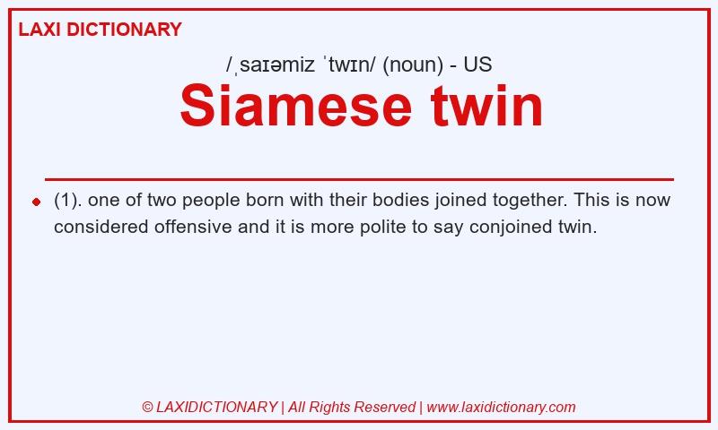 Definition Siamese twin in American English