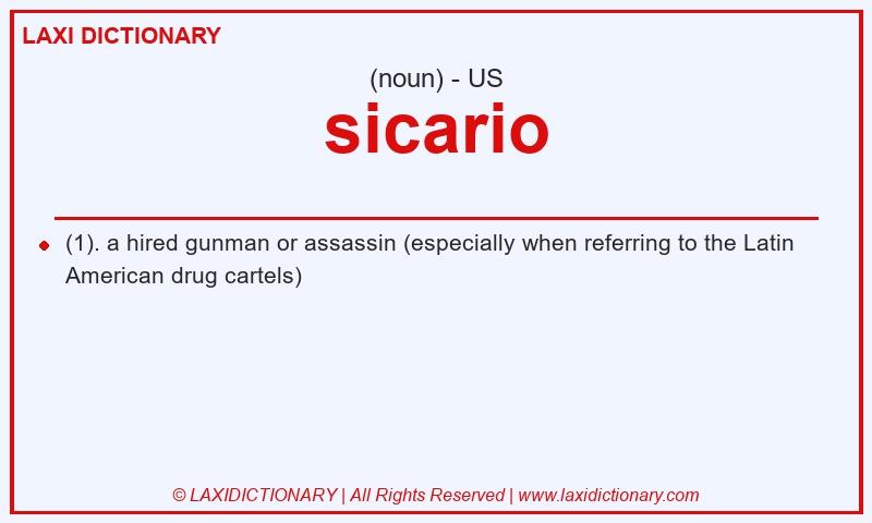 Definition sicario in American English
