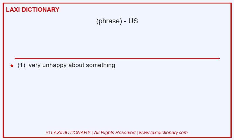 Definition  in American English