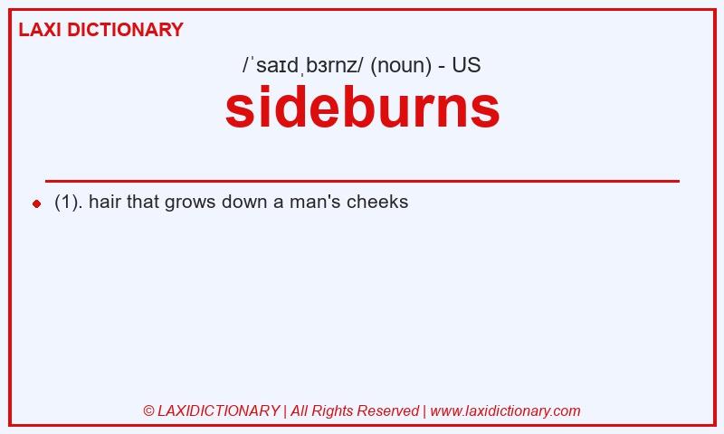Definition sideburns in American English