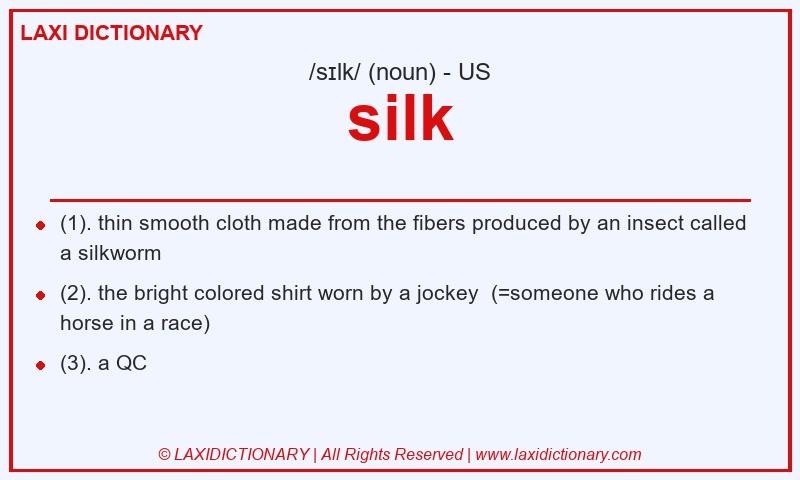 Definition silk in American English