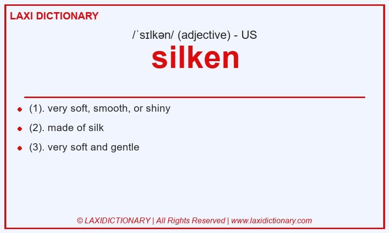 Definition silken in American English