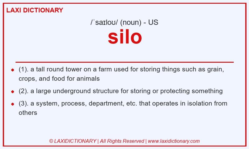 Definition silo in American English