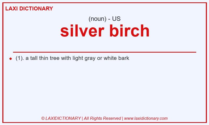 Definition silver birch in American English