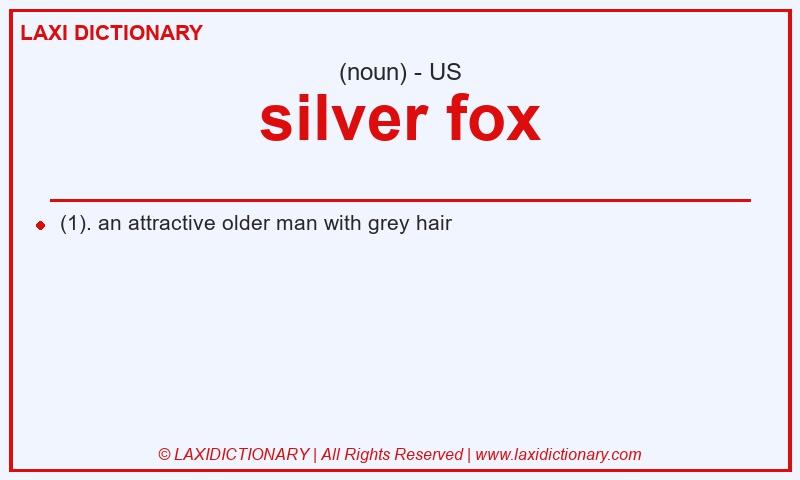 Definition silver fox in American English