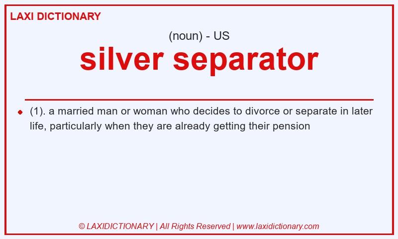 Definition silver separator in American English