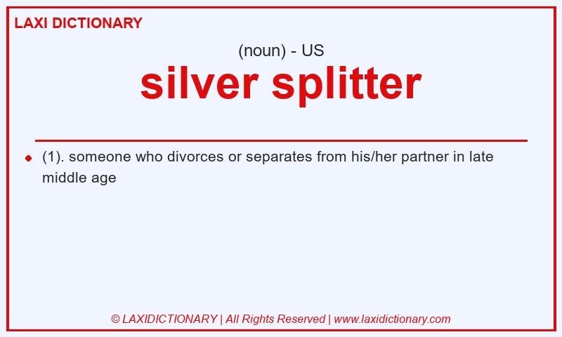 Definition silver splitter in American English