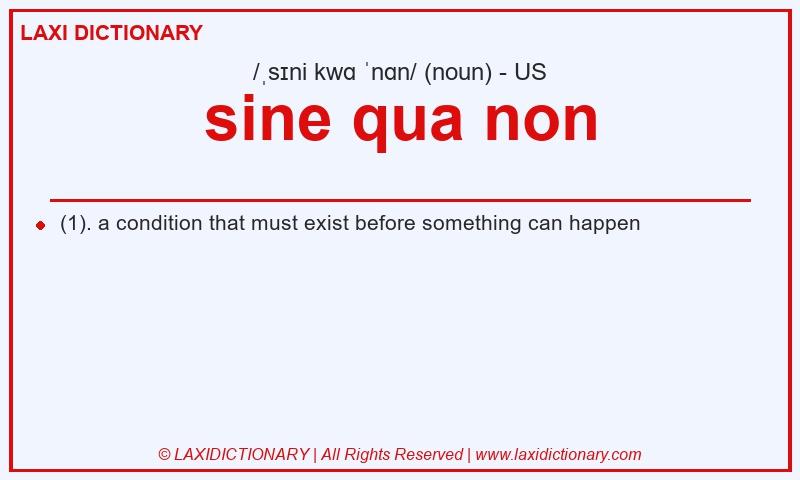 Definition sine qua non in American English