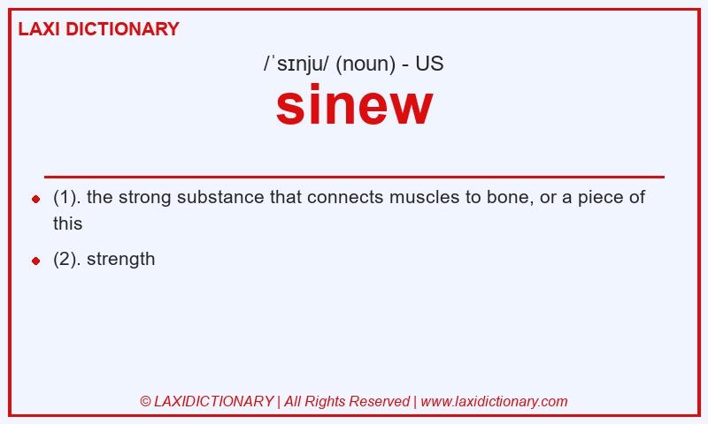 Definition sinew in American English