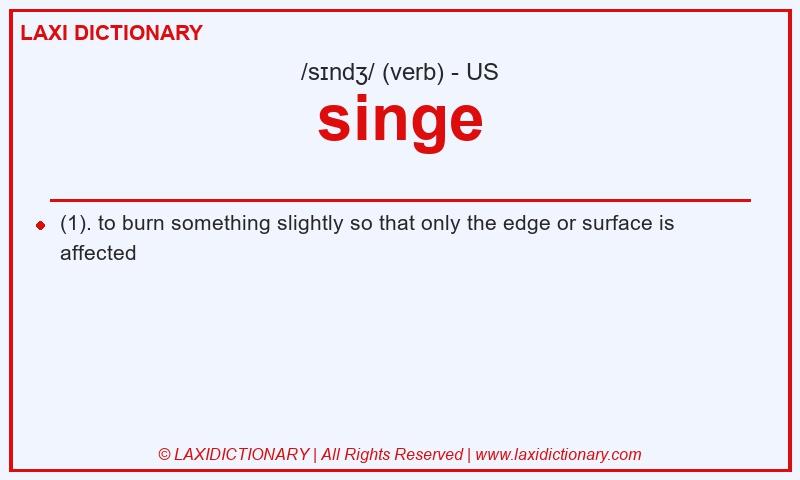 Definition singe in American English