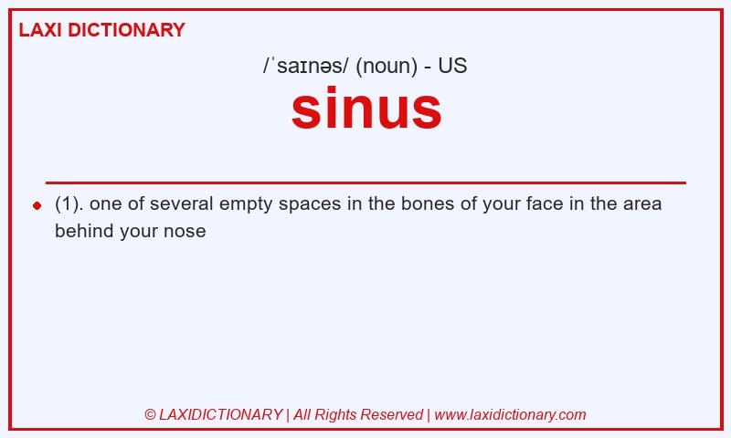 Definition sinus in American English