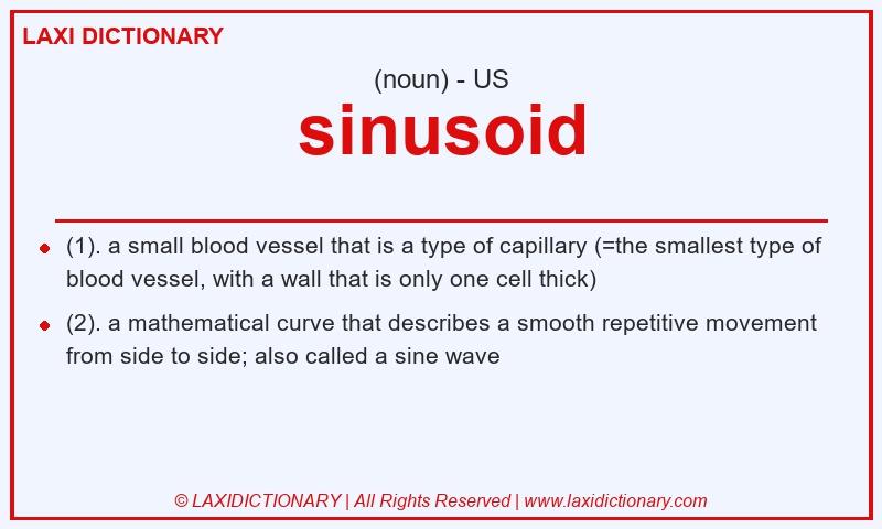 Definition sinusoid in American English