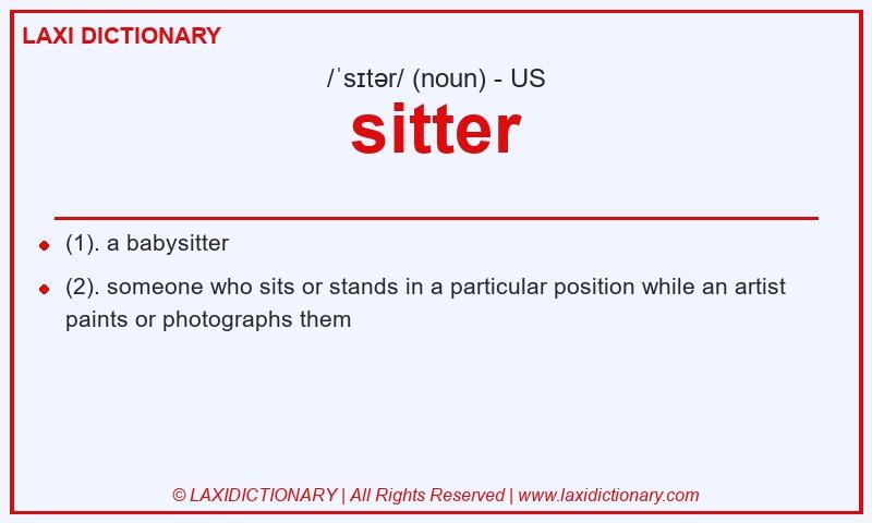 Definition sitter in American English