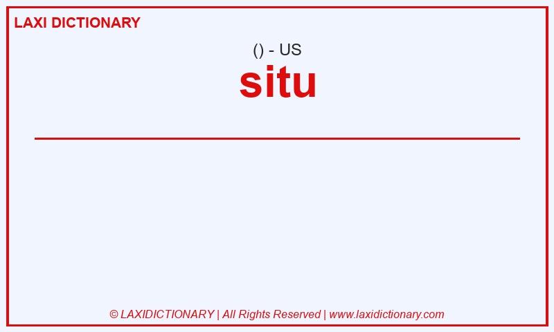 Definition situ in American English