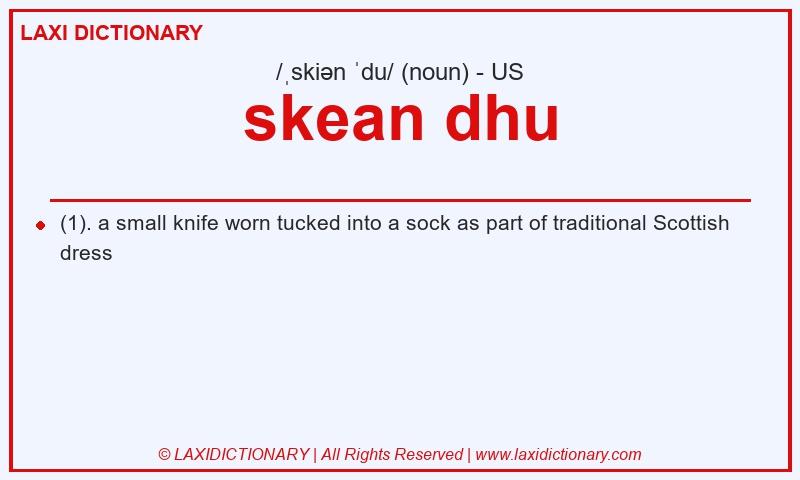 Definition skean dhu in American English