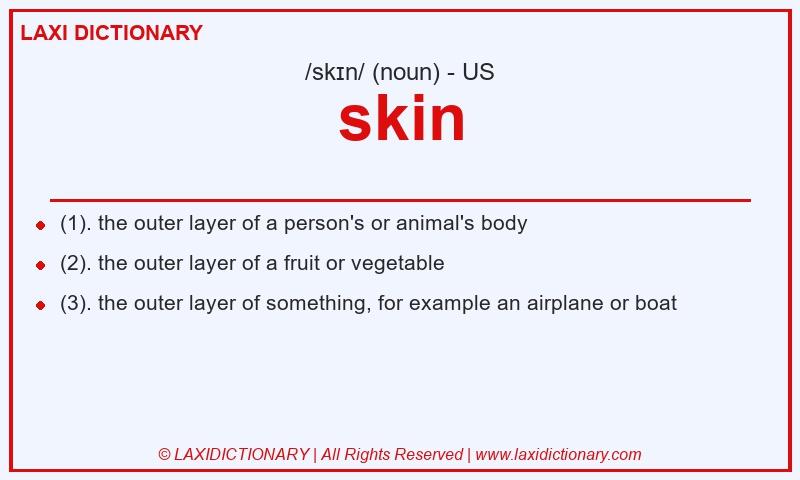Definition skin in American English