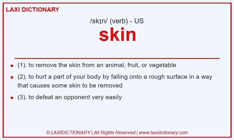 Definition skin in American English