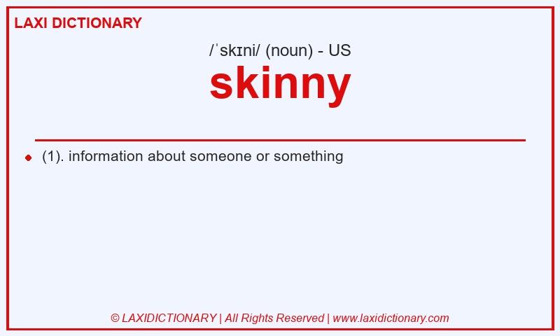 Definition skinny in American English