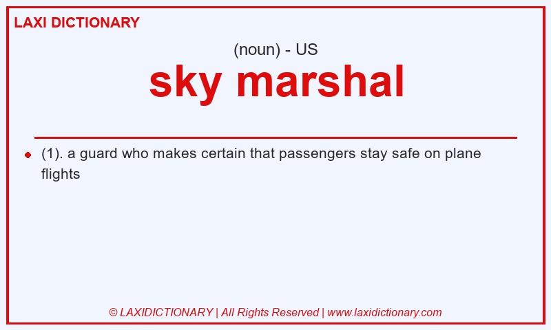 Definition sky marshal in American English