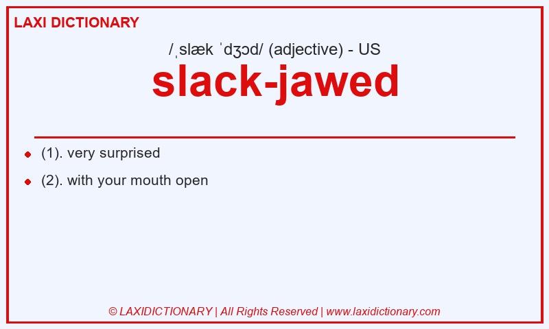 Definition slack-jawed in American English