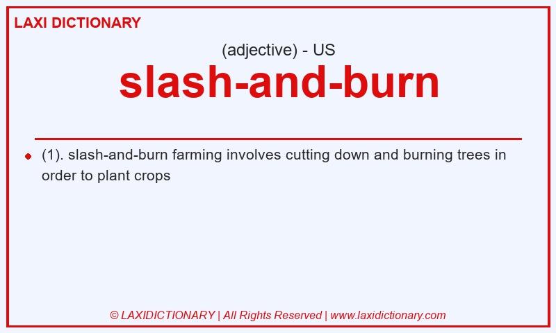 Definition slash-and-burn in American English