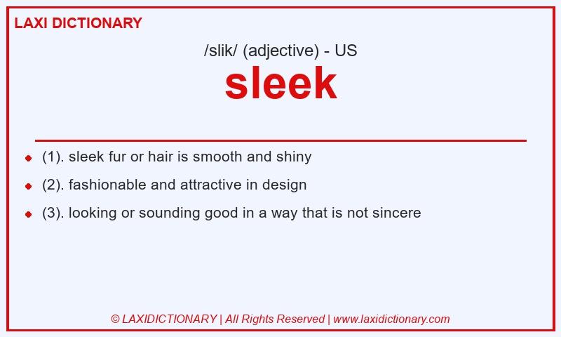 Definition sleek in American English
