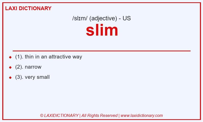 Definition slim in American English